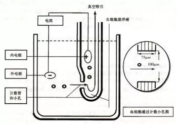 【兆恒機械】血液分析儀的檢測原理及臨床應(yīng)用